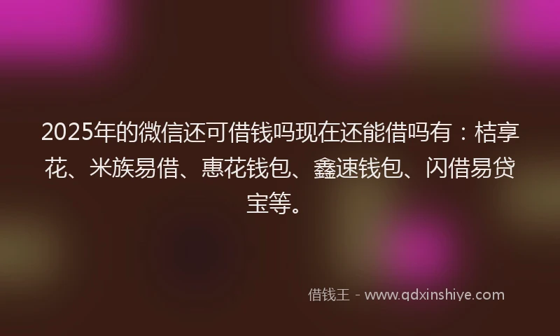 2025年的微信还可借钱吗现在还能借吗有：桔享花、米族易借、惠花钱包、鑫速钱包、闪借易贷宝等。