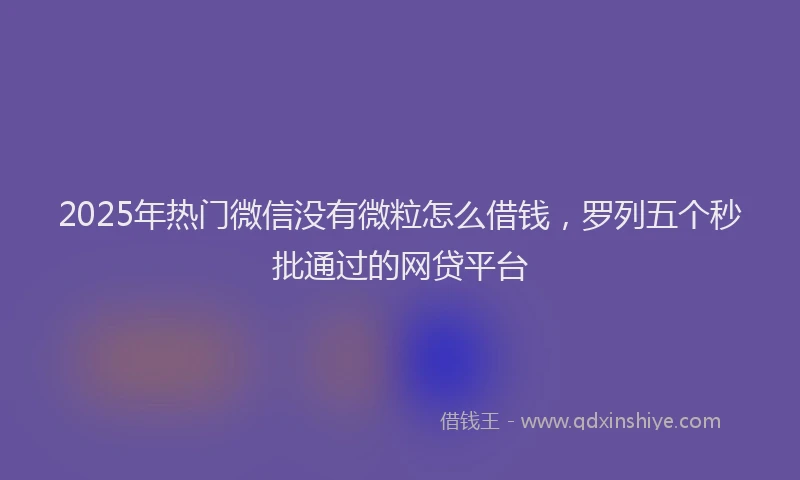 2025年热门微信没有微粒怎么借钱，罗列五个秒批通过的网贷平台