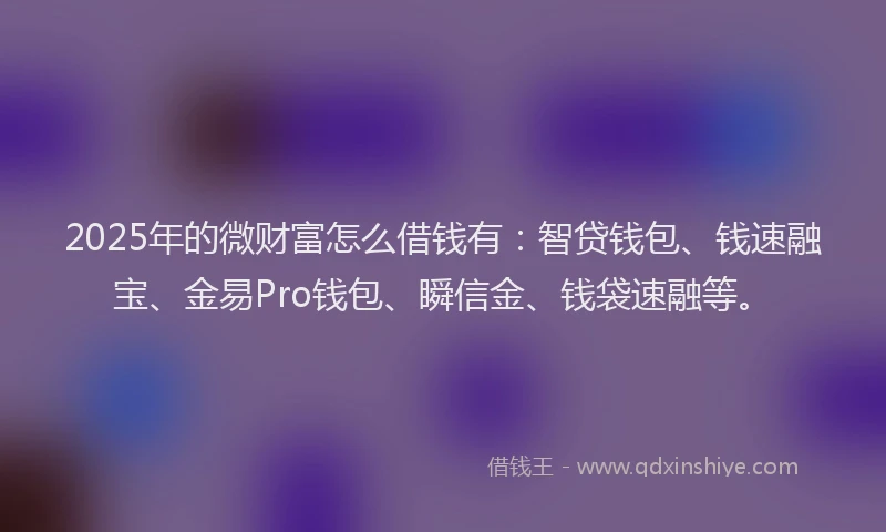 2025年的微财富怎么借钱有：智贷钱包、钱速融宝、金易Pro钱包、瞬信金、钱袋速融等。