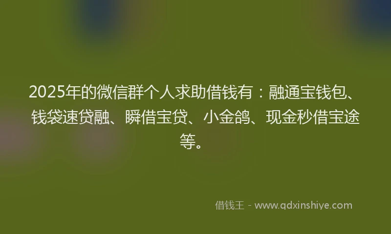 2025年的微信群个人求助借钱有：融通宝钱包、钱袋速贷融、瞬借宝贷、小金鸽、现金秒借宝途等。