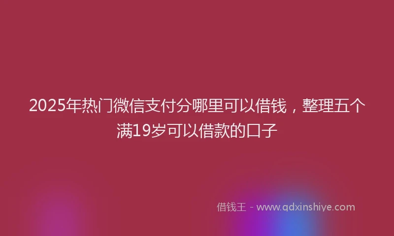 2025年热门微信支付分哪里可以借钱，整理五个满19岁可以借款的口子