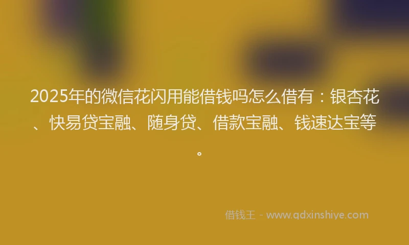 2025年的微信花闪用能借钱吗怎么借有：银杏花、快易贷宝融、随身贷、借款宝融、钱速达宝等。
