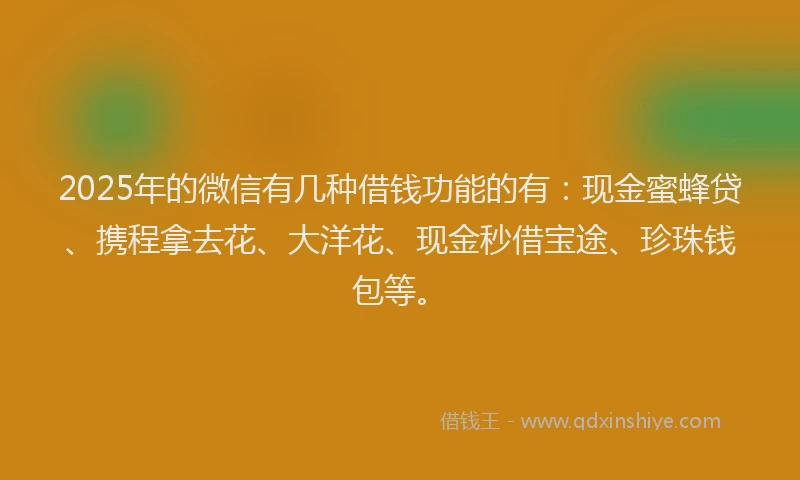 2025年的微信有几种借钱功能的有：现金蜜蜂贷、携程拿去花、大洋花、现金秒借宝途、珍珠钱包等。