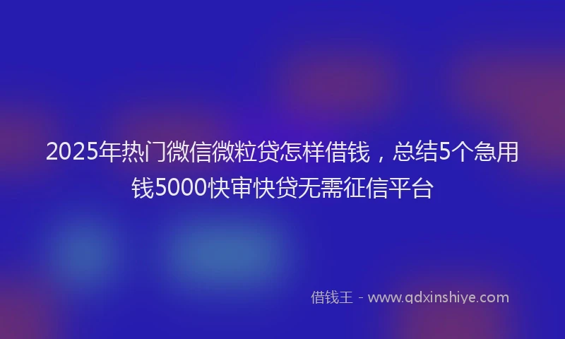 2025年热门微信微粒贷怎样借钱，总结5个急用钱5000快审快贷无需征信平台