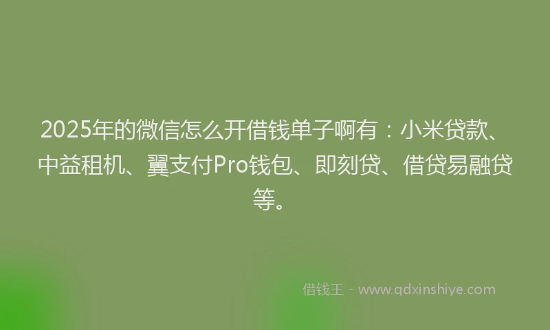2025年的微信怎么开借钱单子啊有：小米贷款、中益租机、翼支付Pro钱包、即刻贷、借贷易融贷等。