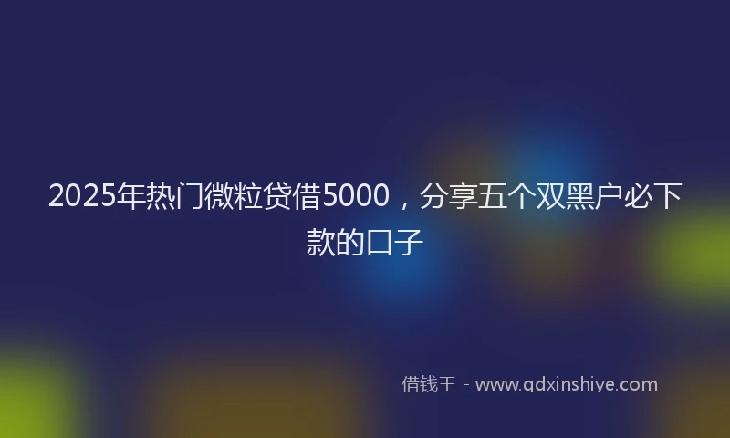 2025年热门微粒贷借5000，分享五个双黑户必下款的口子
