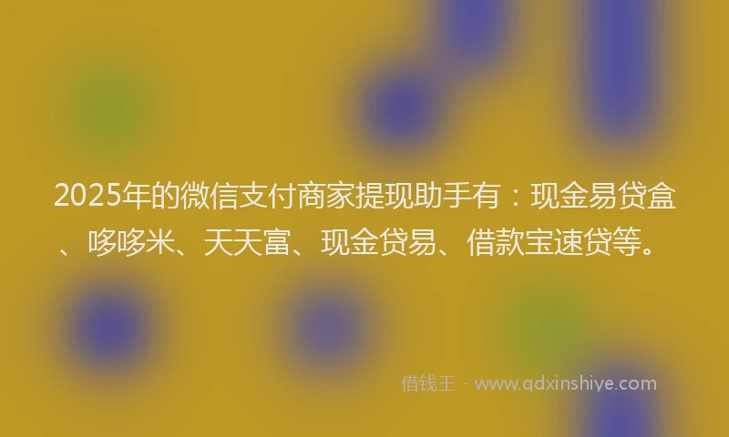 2025年的微信支付商家提现助手有：现金易贷盒、哆哆米、天天富、现金贷易、借款宝速贷等。