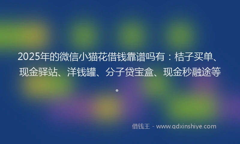 2025年的微信小猫花借钱靠谱吗有：桔子买单、现金驿站、洋钱罐、分子贷宝盒、现金秒融途等。