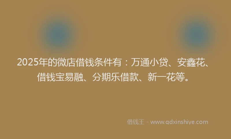 2025年的微店借钱条件有:万通小贷、安鑫花、借钱宝易融、分期乐借款、新一花等。