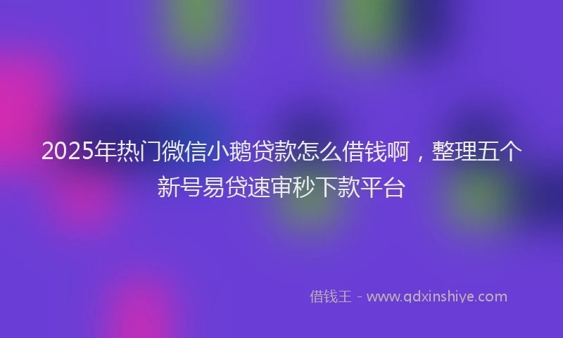2025年热门微信小鹅贷款怎么借钱啊，整理五个新号易贷速审秒下款平台