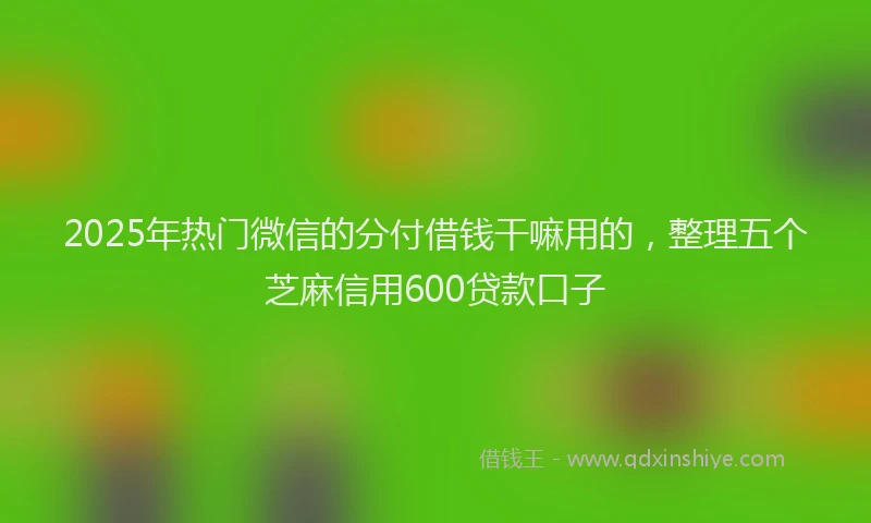 2025年热门微信的分付借钱干嘛用的，整理五个芝麻信用600贷款口子
