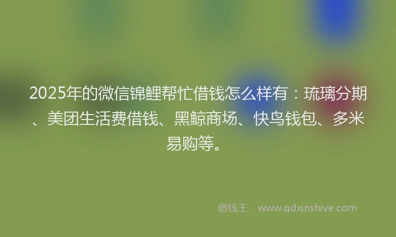 2025年的微信锦鲤帮忙借钱怎么样有：琉璃分期、美团生活费借钱、黑鲸商场、快鸟钱包、多米易购等。