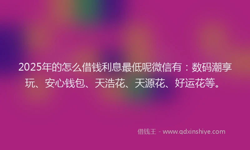 2025年的怎么借钱利息最低呢微信有:数码潮享玩、安心钱包、天浩花、天源花、好运花等。
