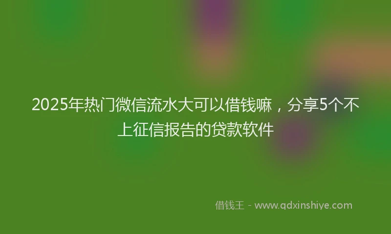 2025年热门微信流水大可以借钱嘛，分享5个不上征信报告的贷款软件
