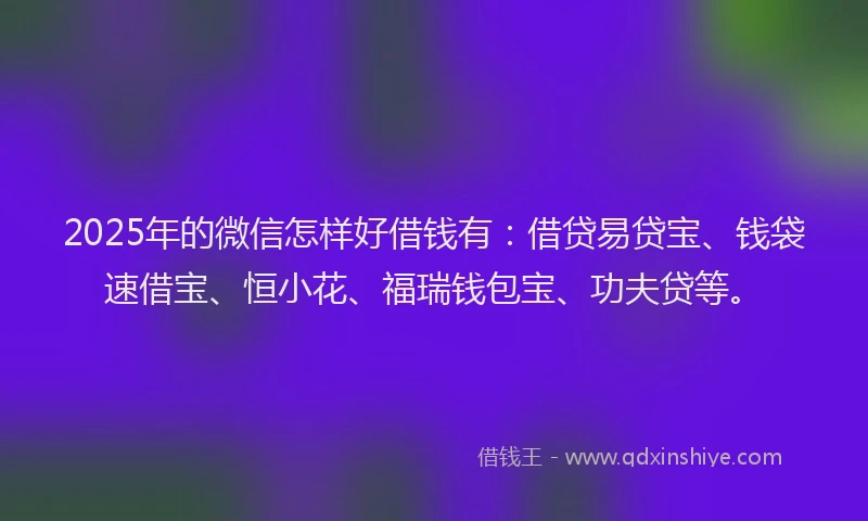 2025年的微信怎样好借钱有：借贷易贷宝、钱袋速借宝、恒小花、福瑞钱包宝、功夫贷等。