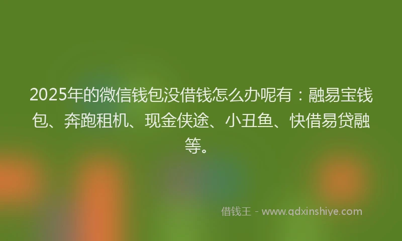 2025年的微信钱包没借钱怎么办呢有：融易宝钱包、奔跑租机、现金侠途、小丑鱼、快借易贷融等。