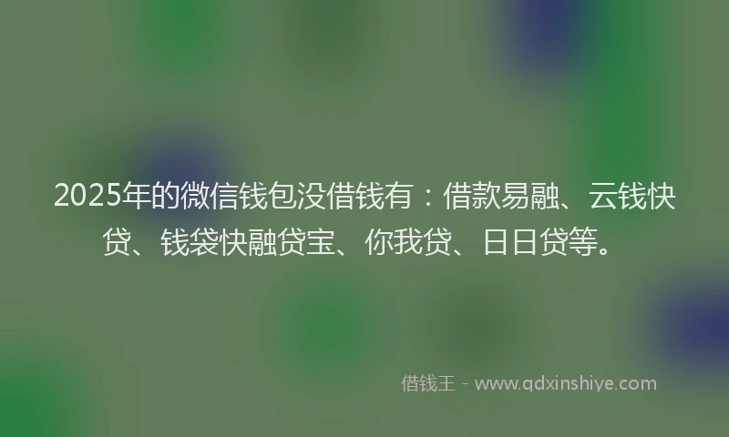 2025年的微信钱包没借钱有：借款易融、云钱快贷、钱袋快融贷宝、你我贷、日日贷等。
