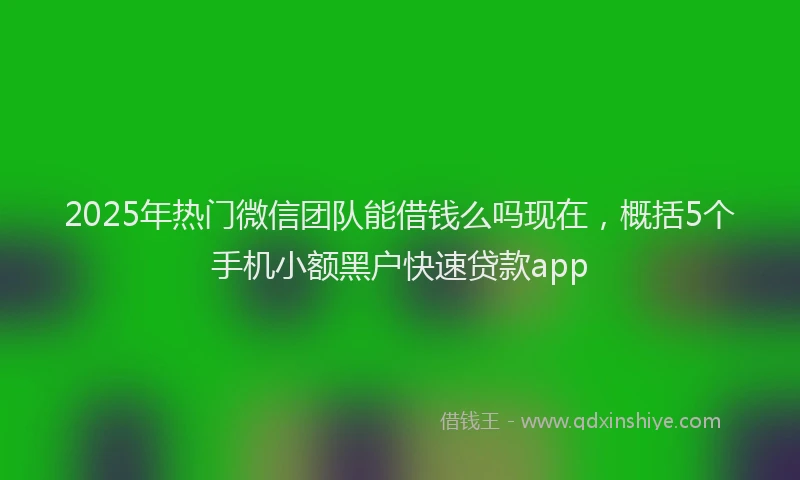 2025年热门微信团队能借钱么吗现在，概括5个手机小额黑户快速贷款app