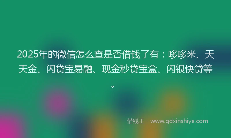 2025年的微信怎么查是否借钱了有：哆哆米、天天金、闪贷宝易融、现金秒贷宝盒、闪银快贷等。