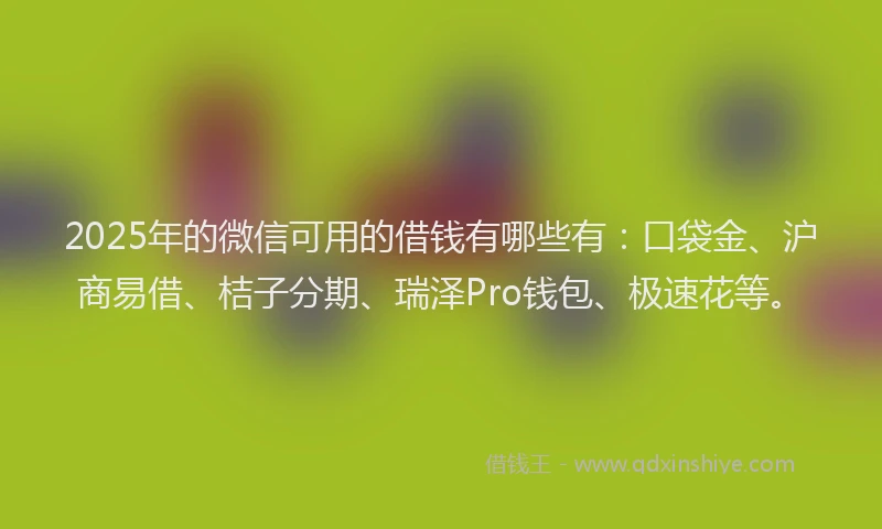 2025年的微信可用的借钱有哪些有：口袋金、沪商易借、桔子分期、瑞泽Pro钱包、极速花等。