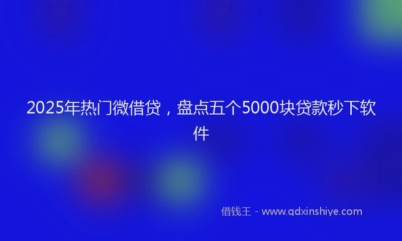 2025年热门微借贷，盘点五个5000块贷款秒下软件