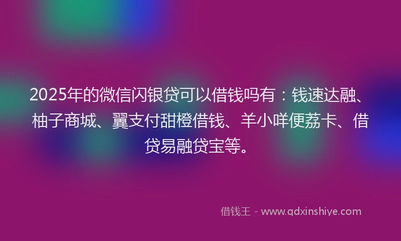 2025年的微信闪银贷可以借钱吗有：钱速达融、柚子商城、翼支付甜橙借钱、羊小咩便荔卡、借贷易融贷宝等。
