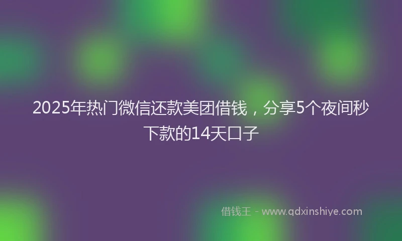 2025年热门微信还款美团借钱，分享5个夜间秒下款的14天口子