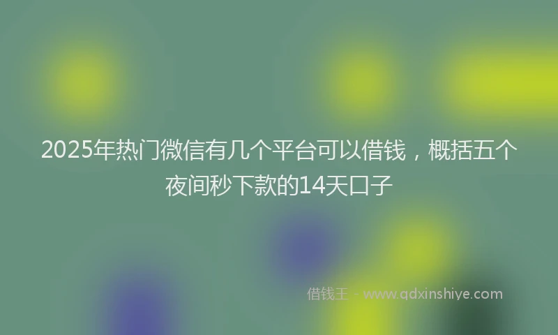 2025年热门微信有几个平台可以借钱，概括五个夜间秒下款的14天口子