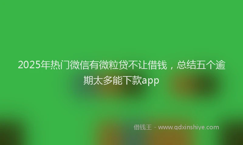2025年热门微信有微粒贷不让借钱，总结五个逾期太多能下款app
