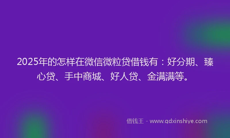 2025年的怎样在微信微粒贷借钱有：好分期、臻心贷、手中商城、好人贷、金满满等。