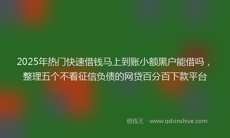 2025年热门快速借钱马上到账小额黑户能借吗，整理五个不看征信负债的网贷百分百下款平台