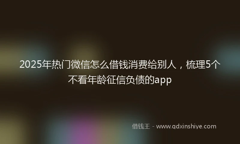 2025年热门微信怎么借钱消费给别人，梳理5个不看年龄征信负债的app