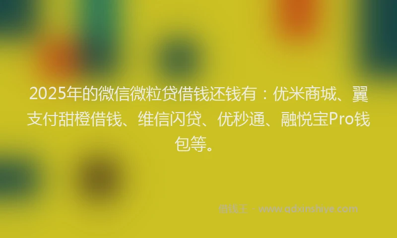 2025年的微信微粒贷借钱还钱有：优米商城、翼支付甜橙借钱、维信闪贷、优秒通、融悦宝Pro钱包等。