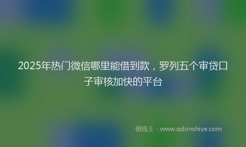 2025年热门微信哪里能借到款，罗列五个审贷口子审核加快的平台