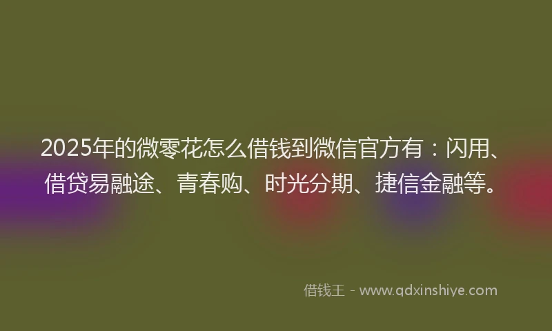 2025年的微零花怎么借钱到微信官方有：闪用、借贷易融途、青春购、时光分期、捷信金融等。