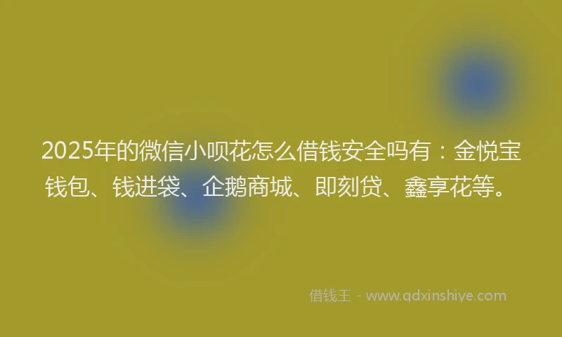 2025年的微信小呗花怎么借钱安全吗有：金悦宝钱包、钱进袋、企鹅商城、即刻贷、鑫享花等。
