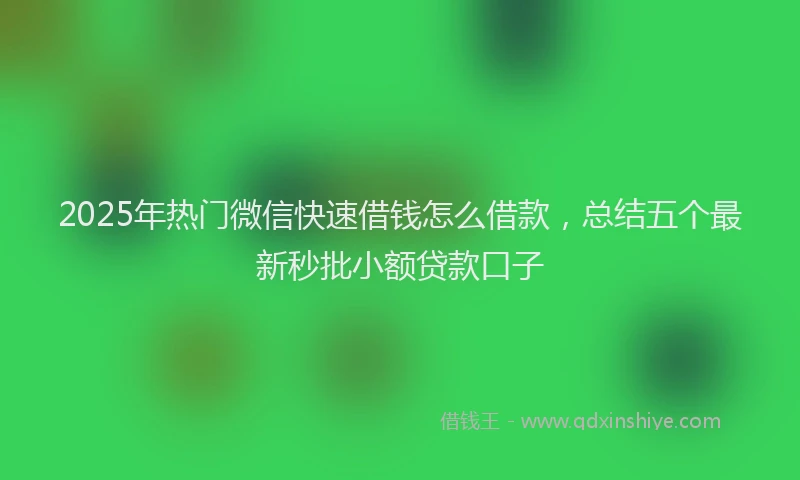 2025年热门微信快速借钱怎么借款，总结五个最新秒批小额贷款口子