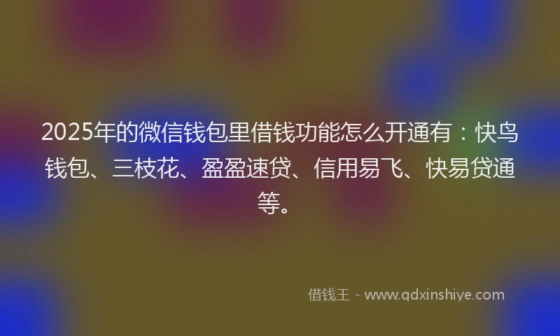 2025年的微信钱包里借钱功能怎么开通有：快鸟钱包、三枝花、盈盈速贷、信用易飞、快易贷通等。