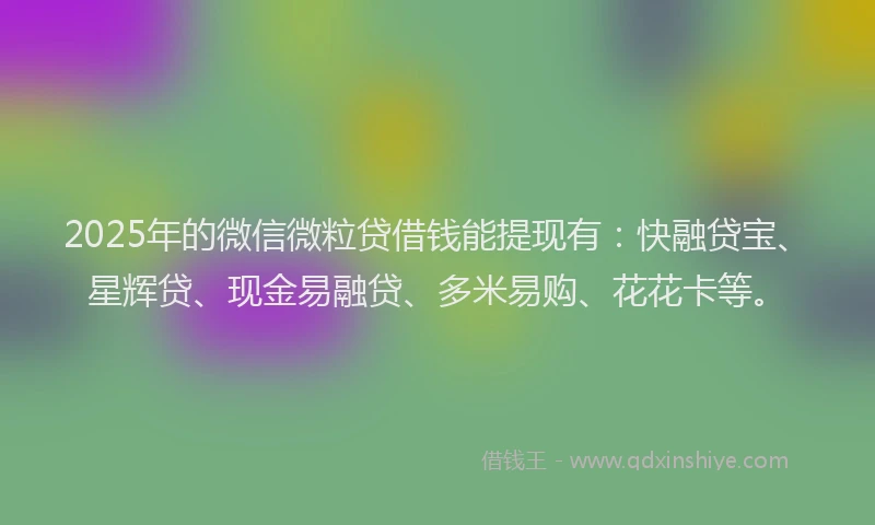 2025年的微信微粒贷借钱能提现有：快融贷宝、星辉贷、现金易融贷、多米易购、花花卡等。