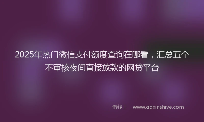 2025年热门微信支付额度查询在哪看，汇总五个不审核夜间直接放款的网贷平台