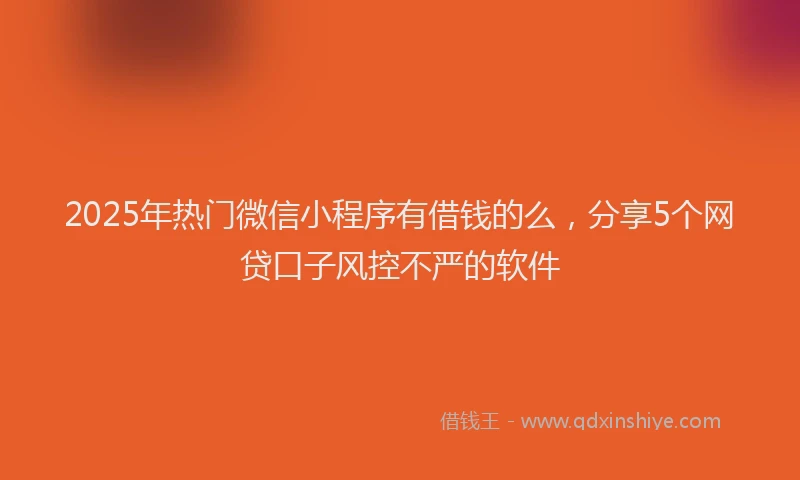2025年热门微信小程序有借钱的么，分享5个网贷口子风控不严的软件