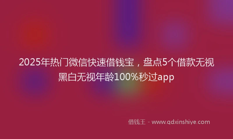 2025年热门微信快速借钱宝，盘点5个借款无视黑白无视年龄100%秒过app