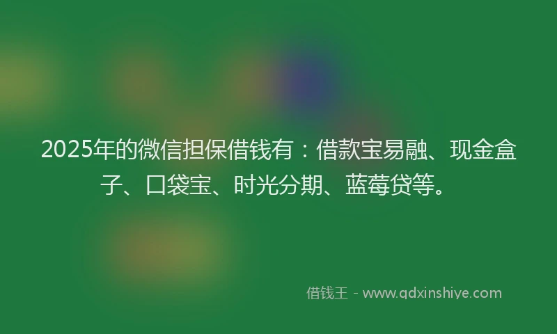 2025年的微信担保借钱有：借款宝易融、现金盒子、口袋宝、时光分期、蓝莓贷等。