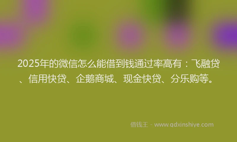 2025年的微信怎么能借到钱通过率高有：飞融贷、信用快贷、企鹅商城、现金快贷、分乐购等。