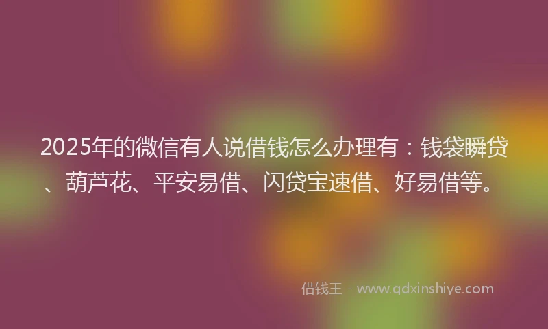 2025年的微信有人说借钱怎么办理有：钱袋瞬贷、葫芦花、平安易借、闪贷宝速借、好易借等。