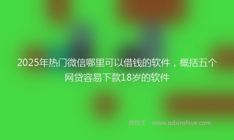 2025年热门微信哪里可以借钱的软件，概括五个网贷容易下款18岁的软件