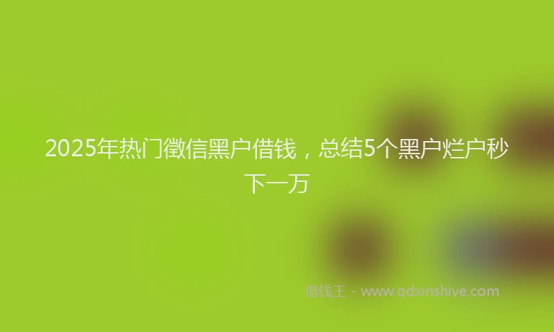 2025年热门徵信黑户借钱，总结5个黑户烂户秒下一万