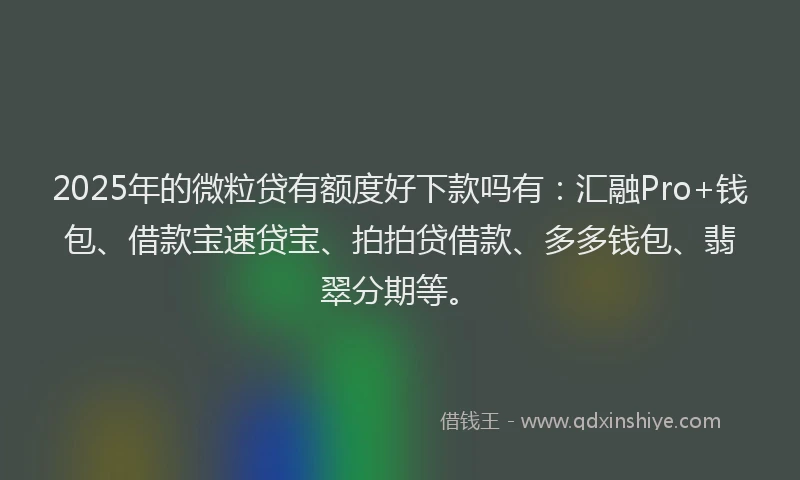2025年的微粒贷有额度好下款吗有：汇融Pro+钱包、借款宝速贷宝、拍拍贷借款、多多钱包、翡翠分期等。