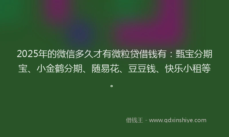 2025年的微信多久才有微粒贷借钱有：甄宝分期宝、小金鹤分期、随易花、豆豆钱、快乐小租等。