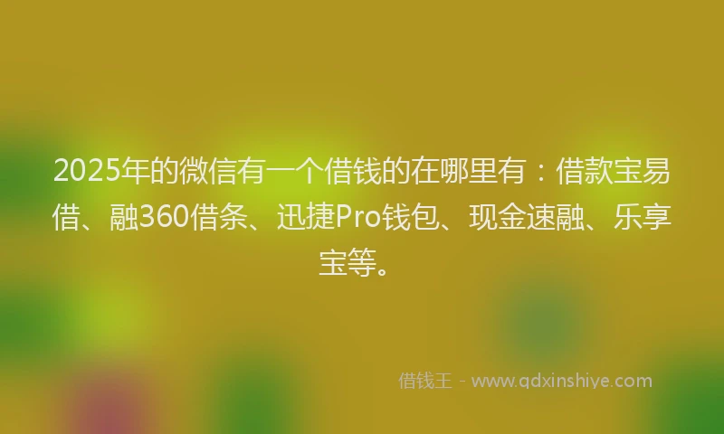 2025年的微信有一个借钱的在哪里有：借款宝易借、融360借条、迅捷Pro钱包、现金速融、乐享宝等。
